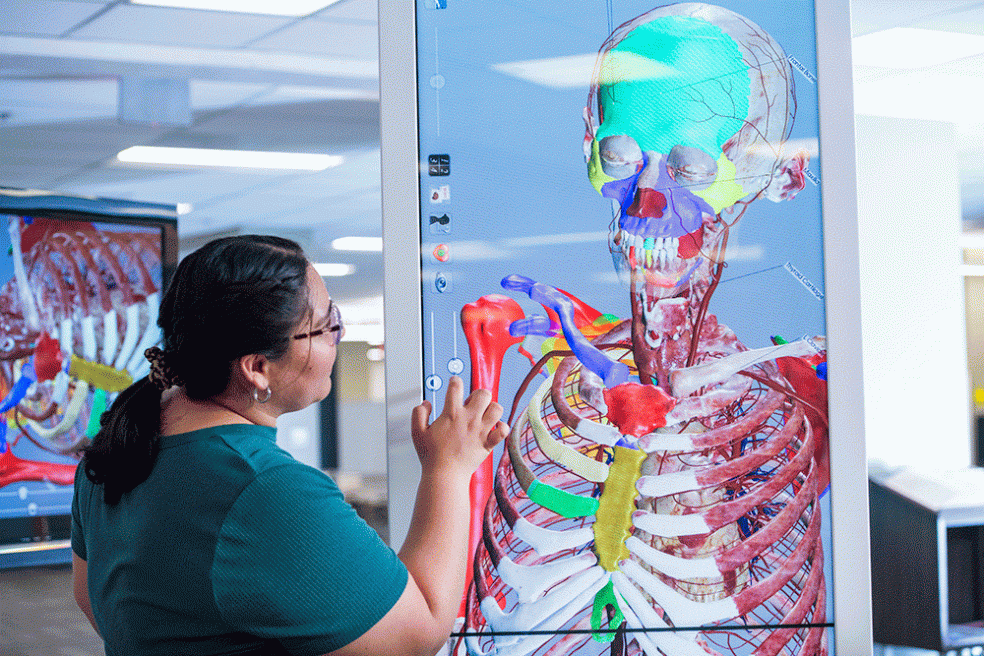 As part of the internship course, Jacky Salas Haro attended Friday workshops, which offered opportunities to hear from and meet healthcare professionals and use the Library’s anatomage table.