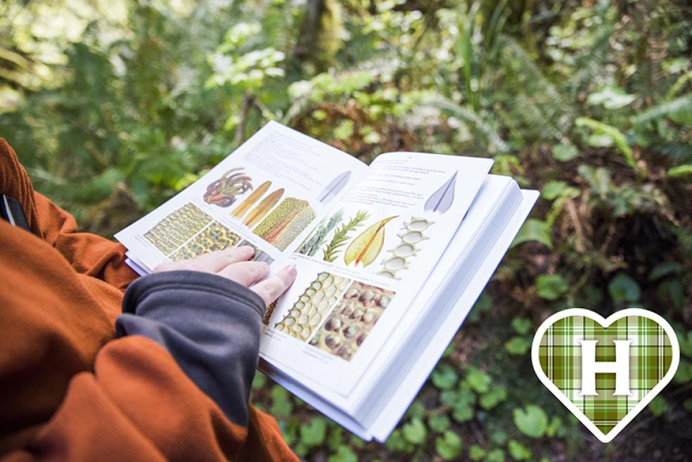 Student looking at biology book in the forest Student looking at biology book in the forest