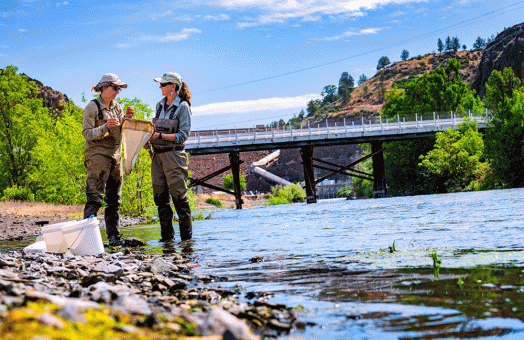 Researchers stand in front of a dam on the Klamath River.