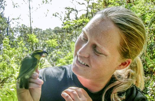 Hanna Mounce holds a kiwikiu, or Maui parrotbill, a bird on the brink of extinction. 