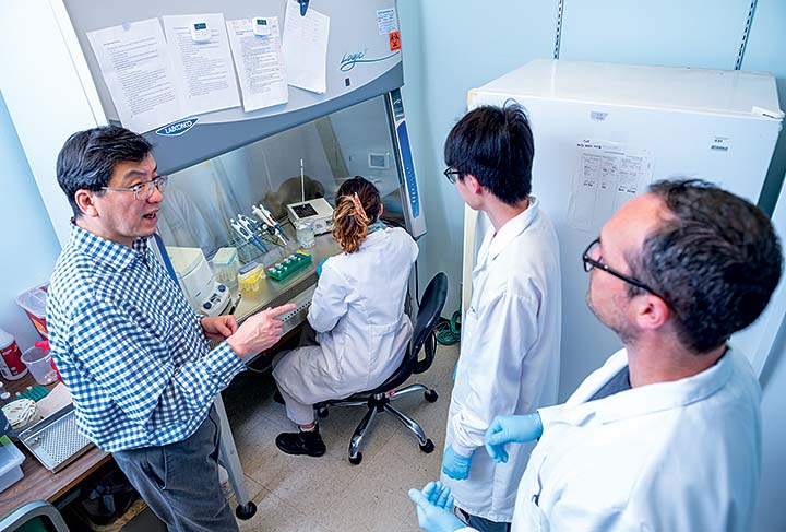 Biology Professor Jianmin Zhong’s lab team includes undergraduate and graduate students whose research includes analyzing DNA from western black-legged ticks and mammals.