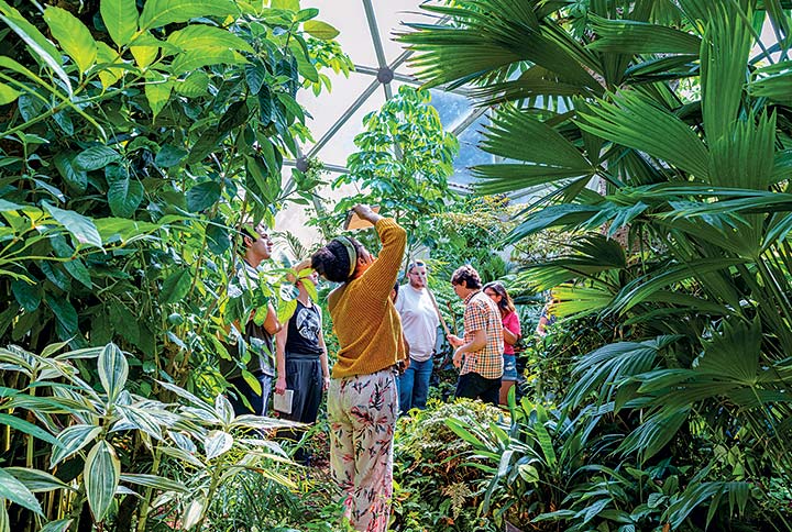 Students studying plants in the Walker Greenhouse