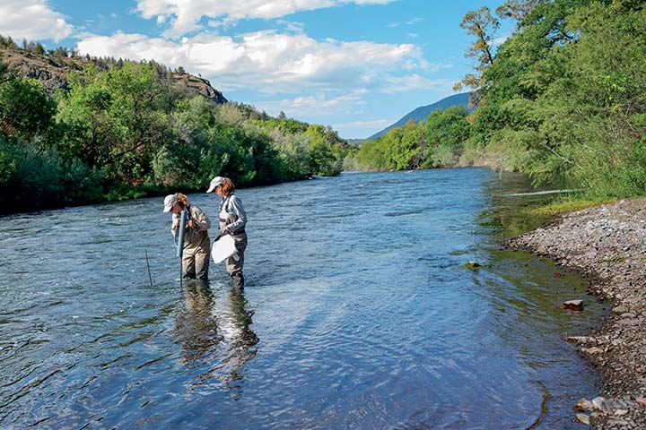 Professor Alison O’Dowd (RIGHT) and Natural Resources graduate student Rosa Cox (LEFT) collect aquatic invertebrates downstream of the Iron Gate Dam to explore the impact of dam removal on river ecosystems. 