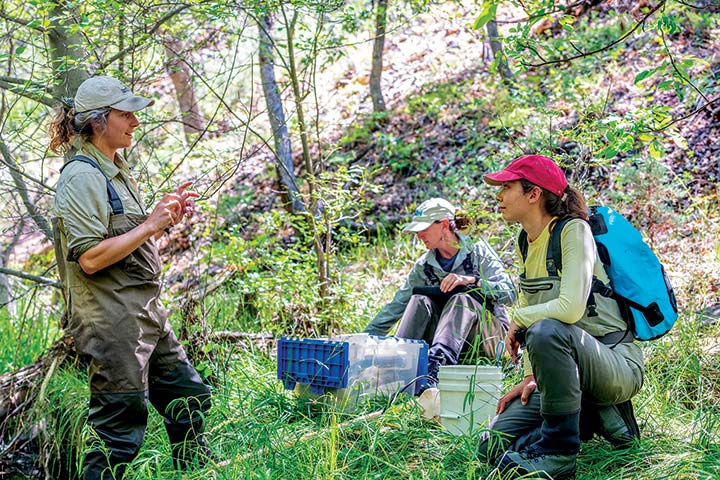 O’Dowd and fellow researchers from Humboldt and UC Davis collect aquatic invertebrates, the main food source for fish, along Bogus Creek, which flows into the Klamath River just downstream of the Iron Gate Dam.