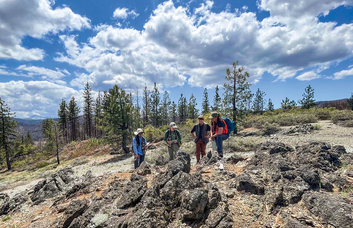 Cal Poly Humboldt students and faculty are surveying plants in 1,600 different locations in Northern California.