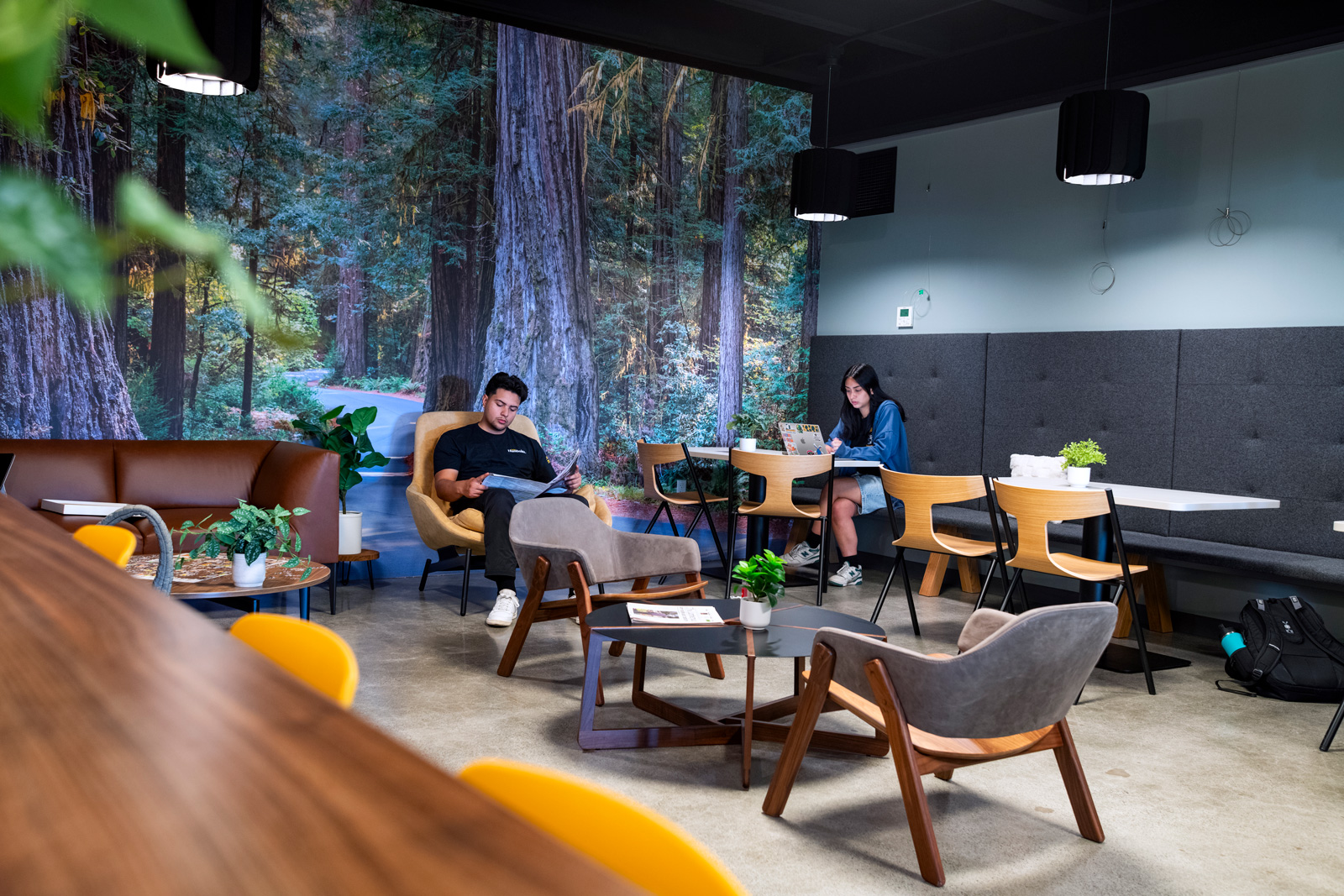 A large mural of trees adorns the office space, creating a vibrant and natural atmosphere, and two people sitting at a table