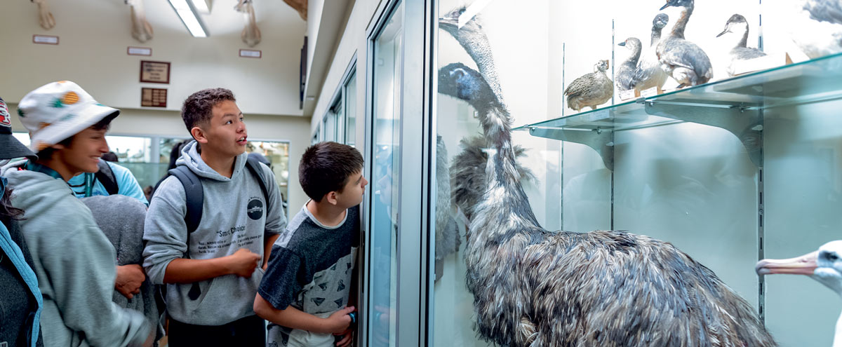 Students looking at display at the Wildlife Museum