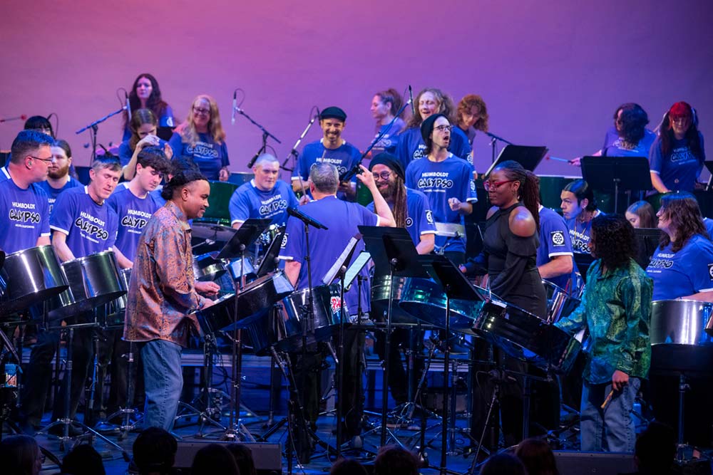 Calypso musicians performing on stage