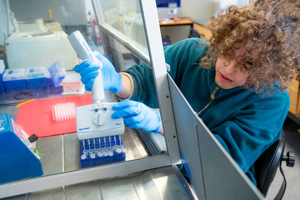Researcher using a pipette to transfer samples in a laboratory