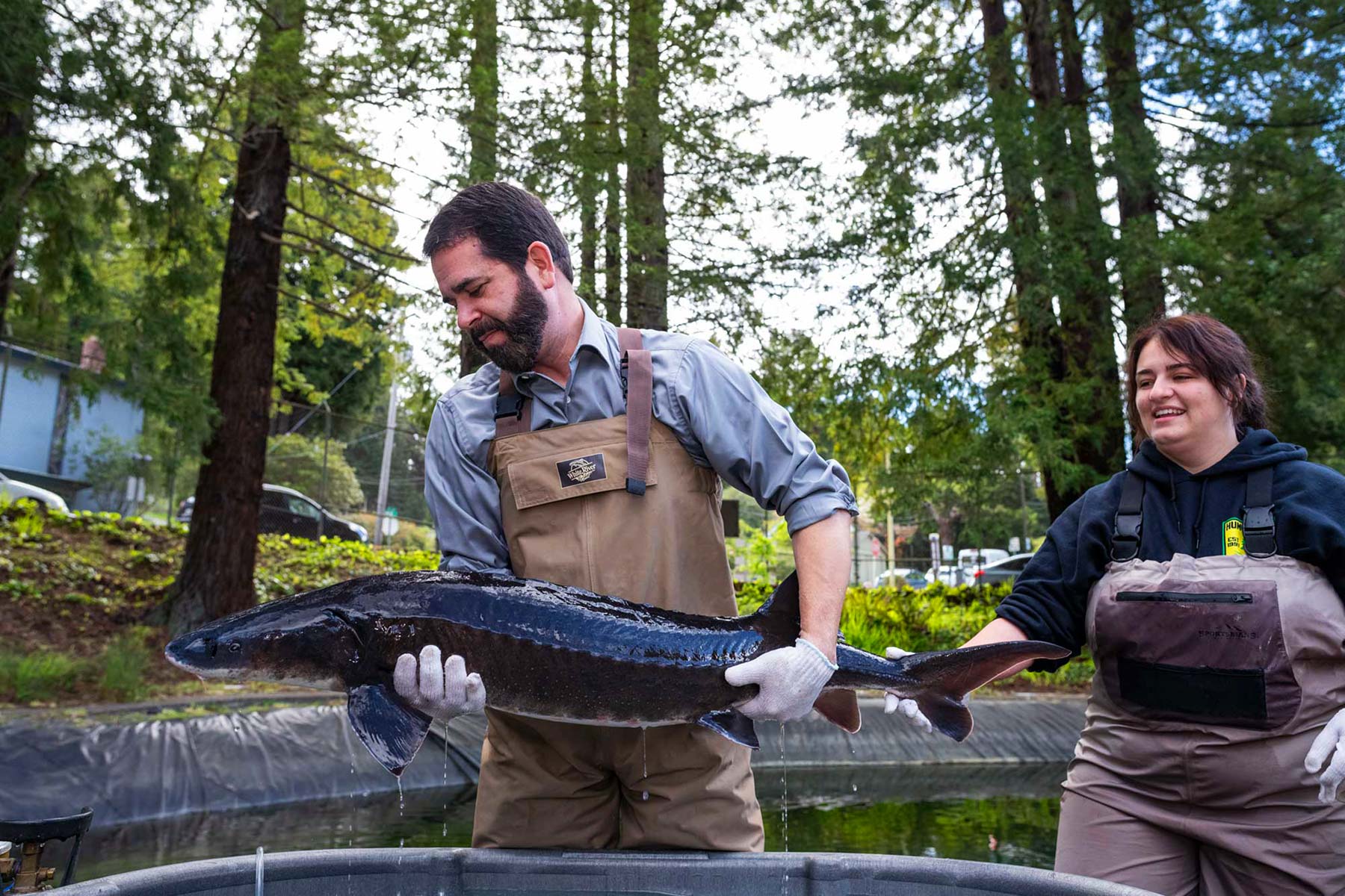 Two people in aprons and gloves hold a large fish beside an outdoor tank.