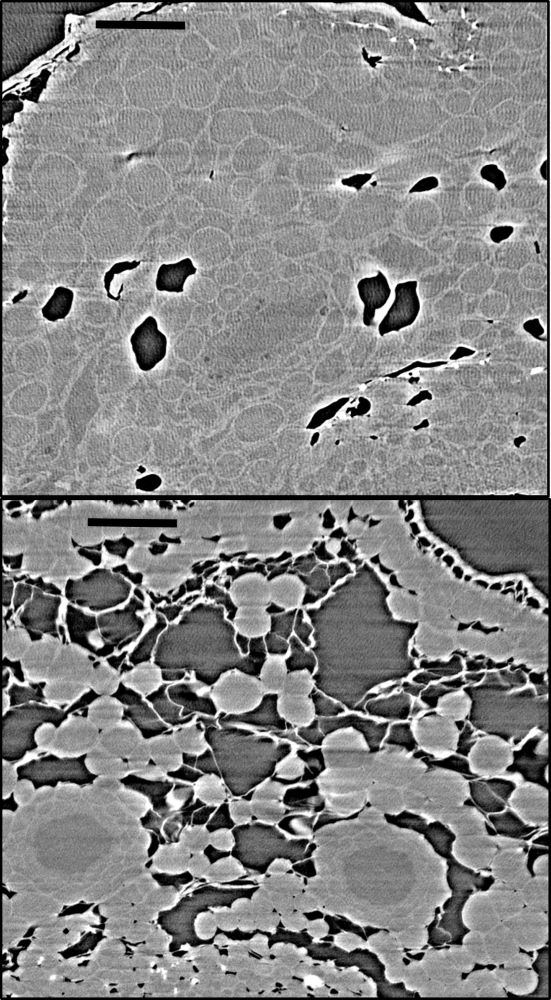 A thermal image depicting water absorbed by twigs is stored in what is normally the airspace.