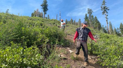 A photo of of students Eri Sharberg and Sawyer Radekin surveying for surviving Baker cypress in the Mud Lake Research Natural Area that burned in the 2021 Dixie Fire.