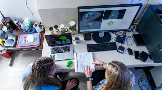 Two student researchers sitting at a desk, one pointing to notes in a notebook, as xray images of a shark ear appear on the computer in front of them