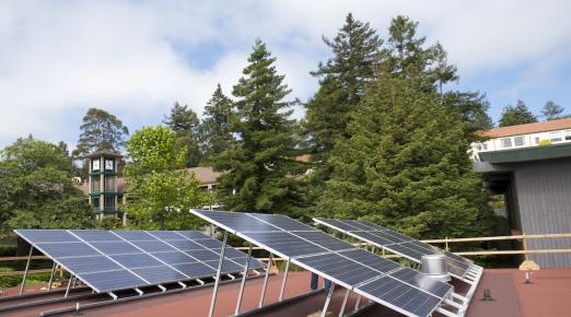 2 rows of solar panel with trees in the background and a clear sky above.