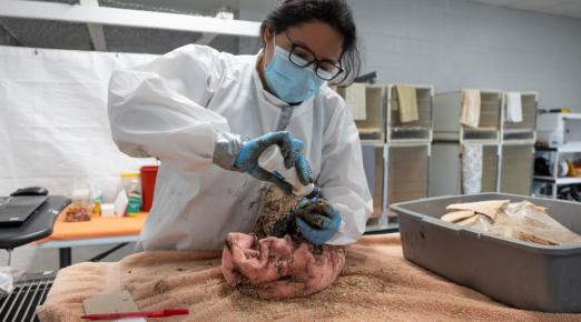 A photo of Jennifer Martines cleaning a bird at the Internation Bird Rescue
