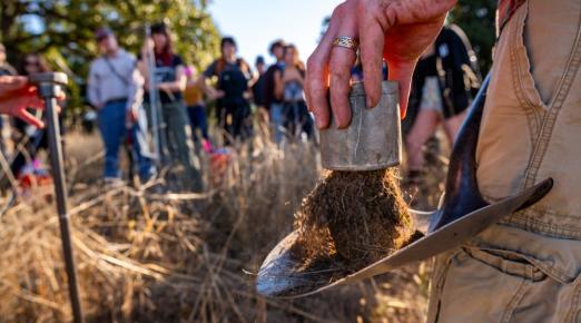 A photo of a Rangeland Resource Science field trip to Fickle Hill, in which the class is sifting through soil to analyze.