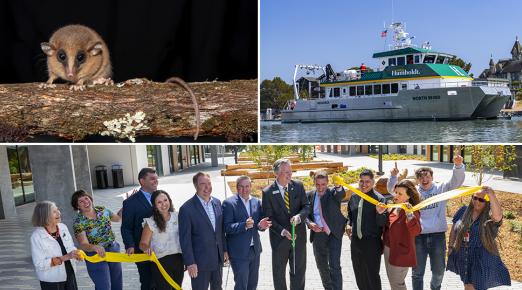 A collage of photos celebrating Cal Poly Humboldt greatest achievements of 2025.