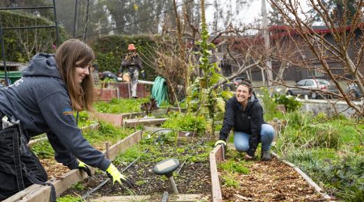 A photo of volunteers gardening at Centro Del Pueblo's Sanctuary Garden. 
