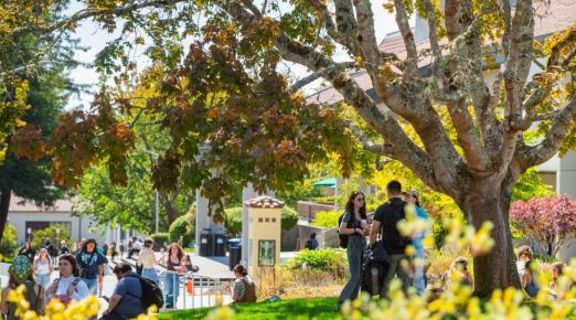 A photo of students near the library. 