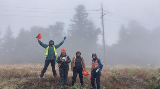 4 researchers standiing in a foggy field with a powerline and trees in the background