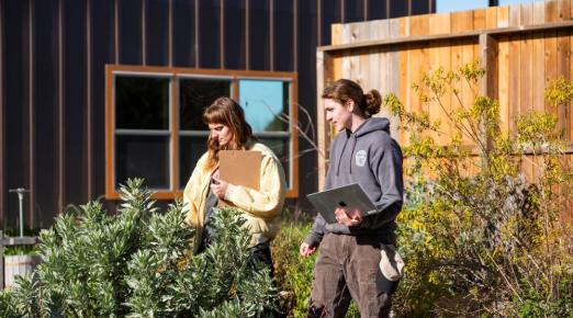 A photo of two students looking at a plant.