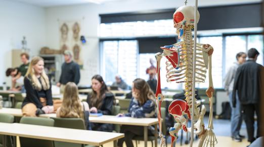 a view of a classroom with a skeleton in the forefront 