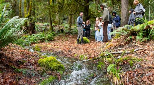 Instructor and students standing beside a creek in the redwood forest 