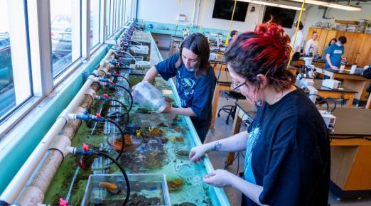 A photo of two students at the Telonicher Marine Lab gathering samples from the aqua tank. 