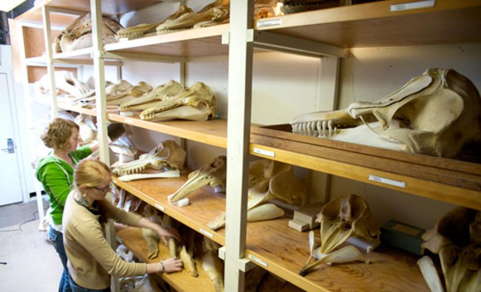 Vertebrate Collection Gets Lawlor Dedication | Humboldt NOW | Cal Poly ...
