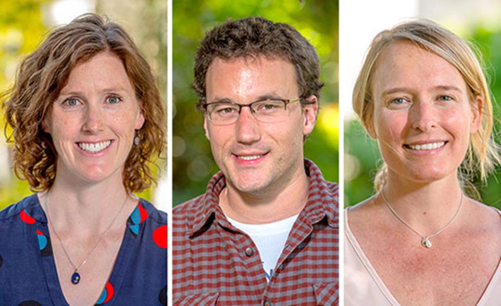 McCrone Award-Winning Faculty, Student Honored for Research Excellence ...