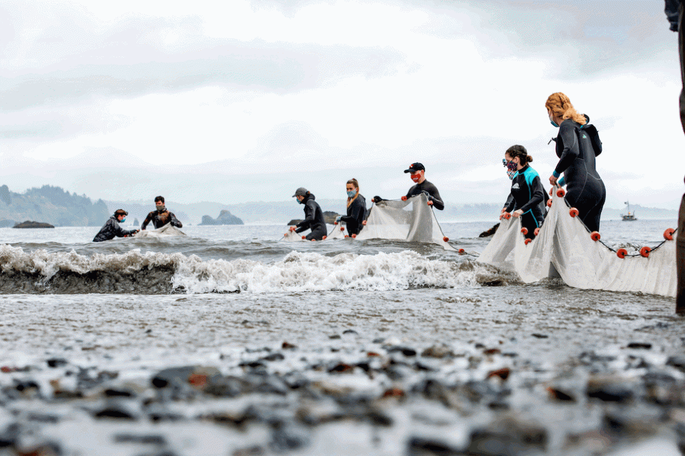 Donors Give $9.4 Million to Support Students and Programs at HSU Conducting research in Trinidad Bay, HSU students like these and the university's unique hands-on learning experiences inspire the generosity of donors year after year.