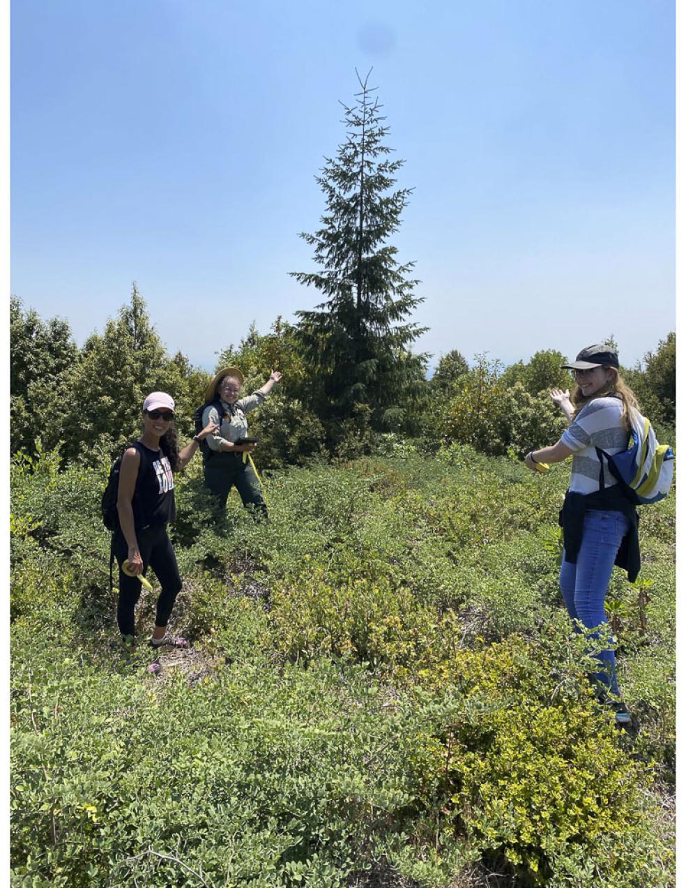 HSU alumni picking out a Christmas tree.