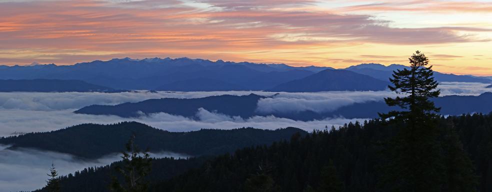 The Klamath Mountains