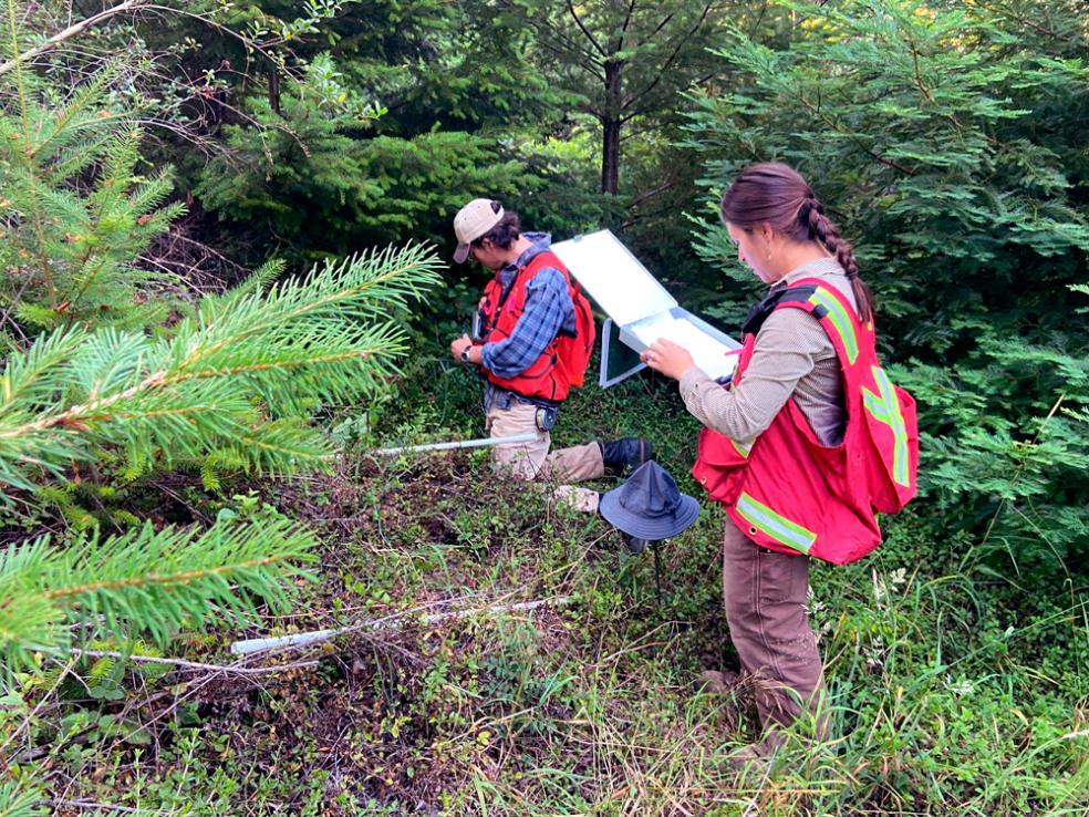 Forestry students Destiny Rivera and Jacob Adelman establish a forest carbon sample plot in Jacoby Creek forest.