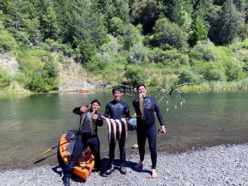 Cal Poly Humboldt graduate student Alex Juan (center) stands holding a day's catch of large Sacramento pikeminnow on the Eel River along with Wiyot Tribe Fisheries Biologist Bill Matsubu and Wiyot Tribe Youth Intern Cairo Rios.