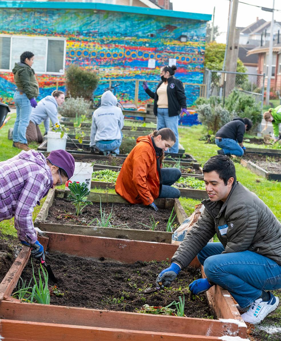 Volunteers tend to garden beds at the Jefferson Community Center on MLK Day of Caring, 2023