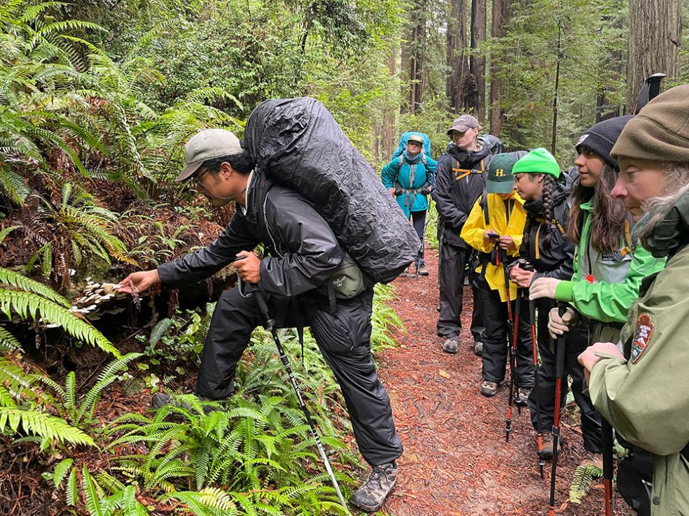 Forests For All participants examine fungi during a hike in November.