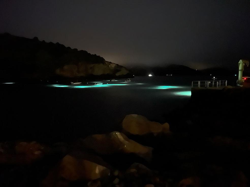 Lights glow from beneath the surface of the water, while REC 362 students conduct their first night dive on Catalina Island.