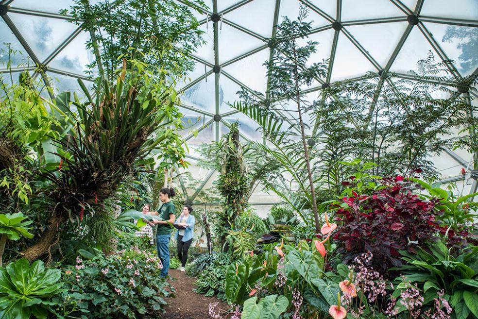 Botanists and students throughout the state will gather at Cal Poly Humboldt to share research, and learn about the local flora on campus and beyond, including more than 1,000 plants in the University’s greenhouse, the vascular plant herbarium, and plant fossil collections.
