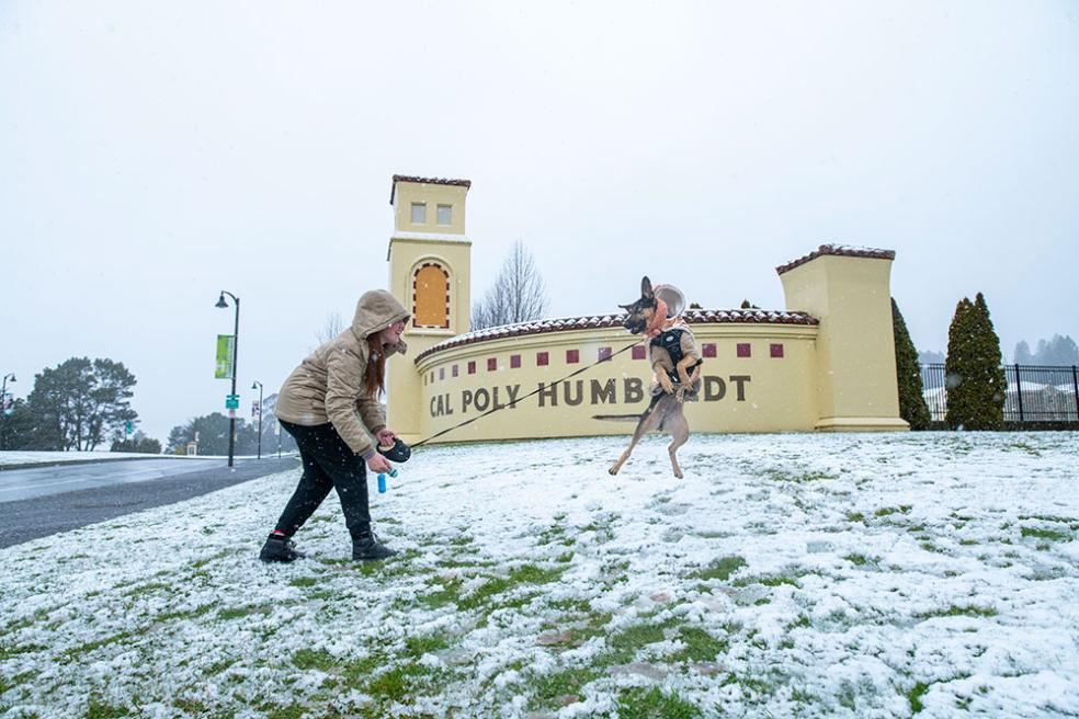 A student throws snowballs for her dog to catch