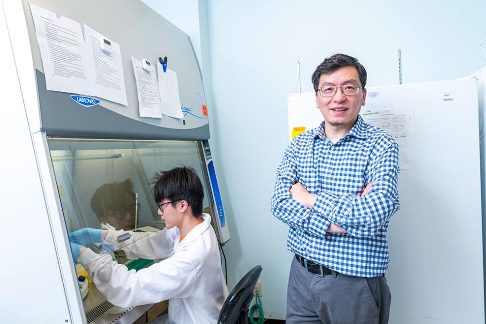 Zhong’s research team includes both undergraduate and graduate students who are investigating the bacteria’s—Rickettsia species phylotype G022—ability to cause disease in animals and eventually humans. 