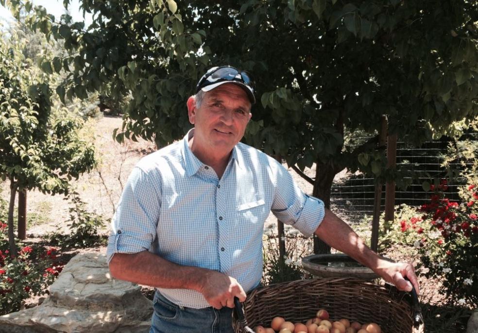 Brad L. Smith with a basket of apricots from his garden. Brad recently established a scholarship endowment for the College of Natural Resources &amp; Sciences