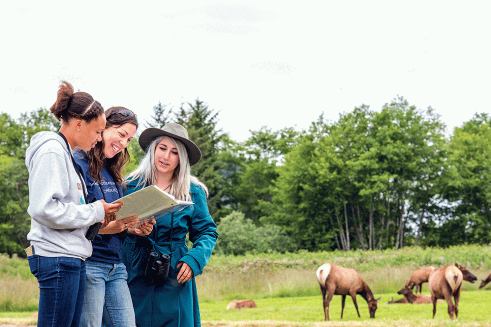 Micaela Szykman Gunther, Wildlife professor, and undergraduate and graduate students are conducting a study that will help determine whether electronic detection of elk along North Coast highways will help protect elk, as well as human drivers.