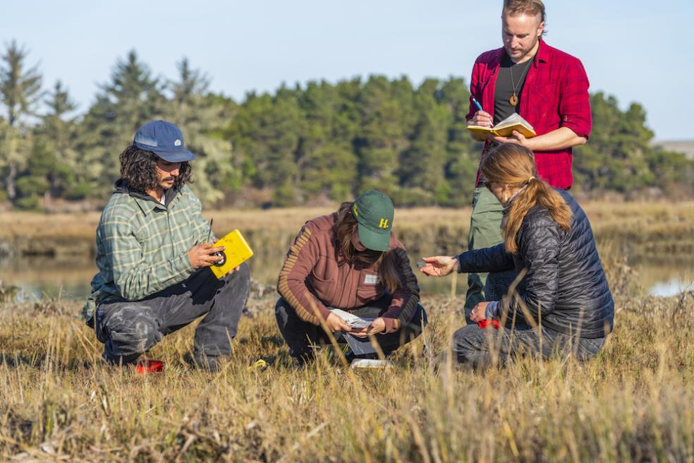 Geology students taking core samples at the Mad River Slough.