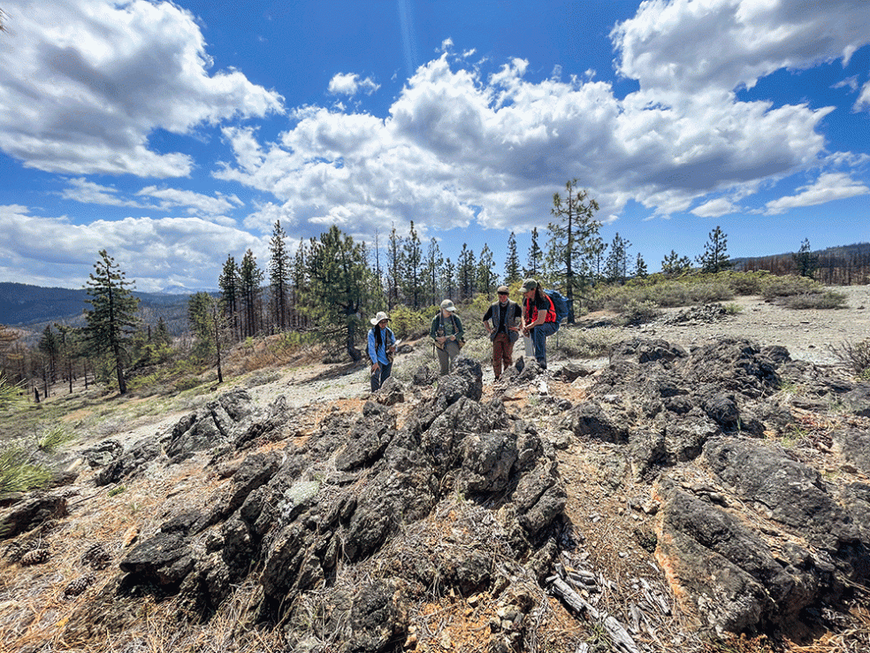 Cal Poly Humboldt students and faculty are surveying plants in 1,600 different locations in Northern California.