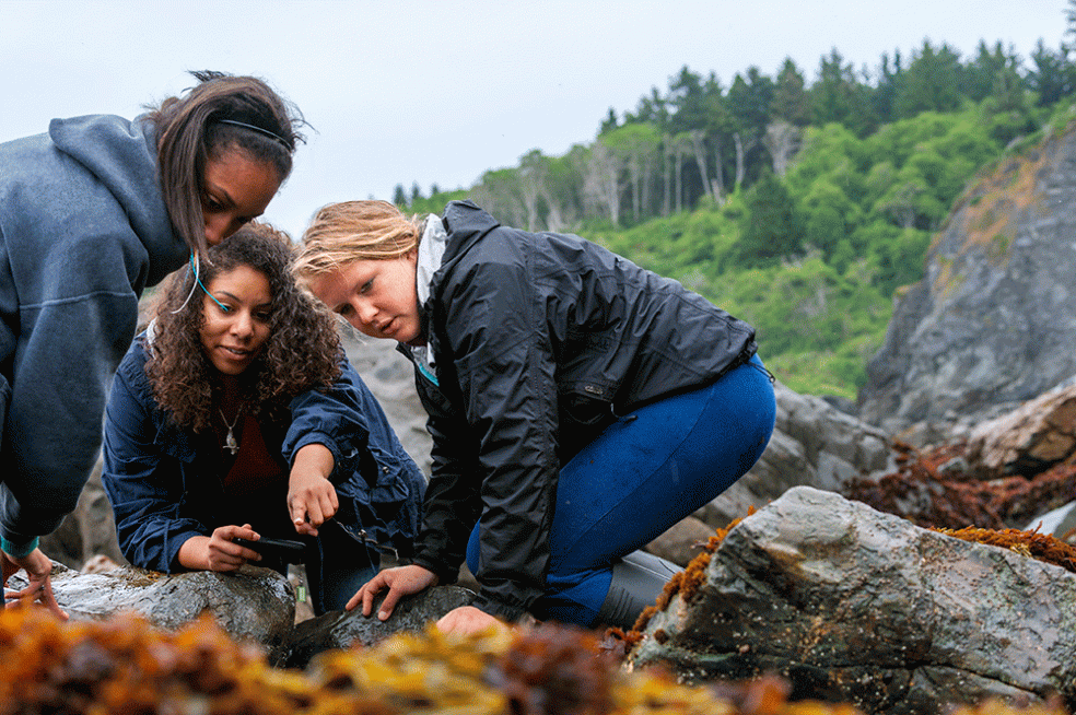students, seen here conducting research in intertidal zones, get hands on experience with different marine habitats. 