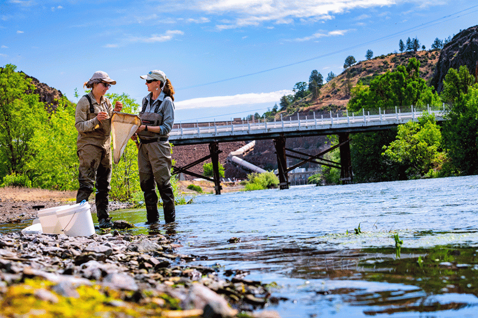 Researchers stand in front of a dam on the Klamath River.