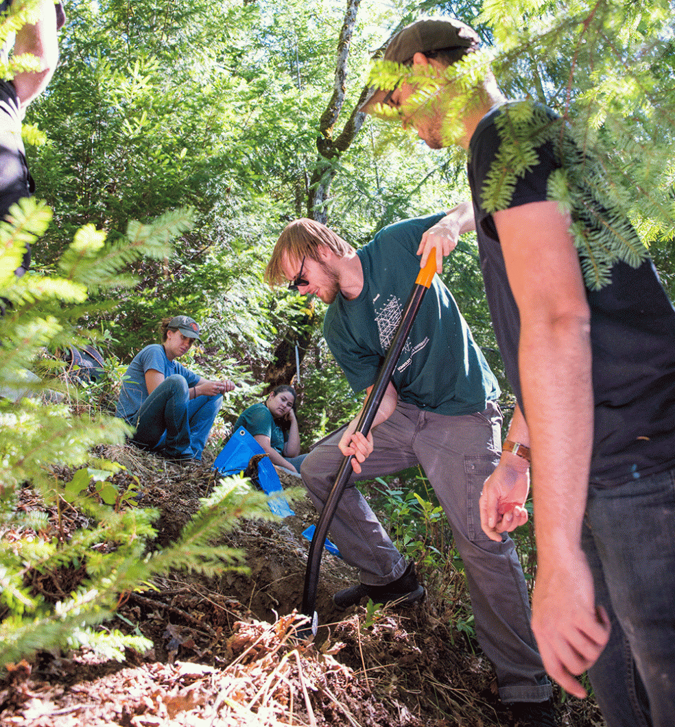 Students in the SOIL 360 course analyze soil in the redwoods outside of Kneeland, California. 