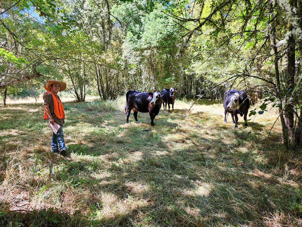 Justin Luong's research will identify how cattle grazing can improve California wetlands. 