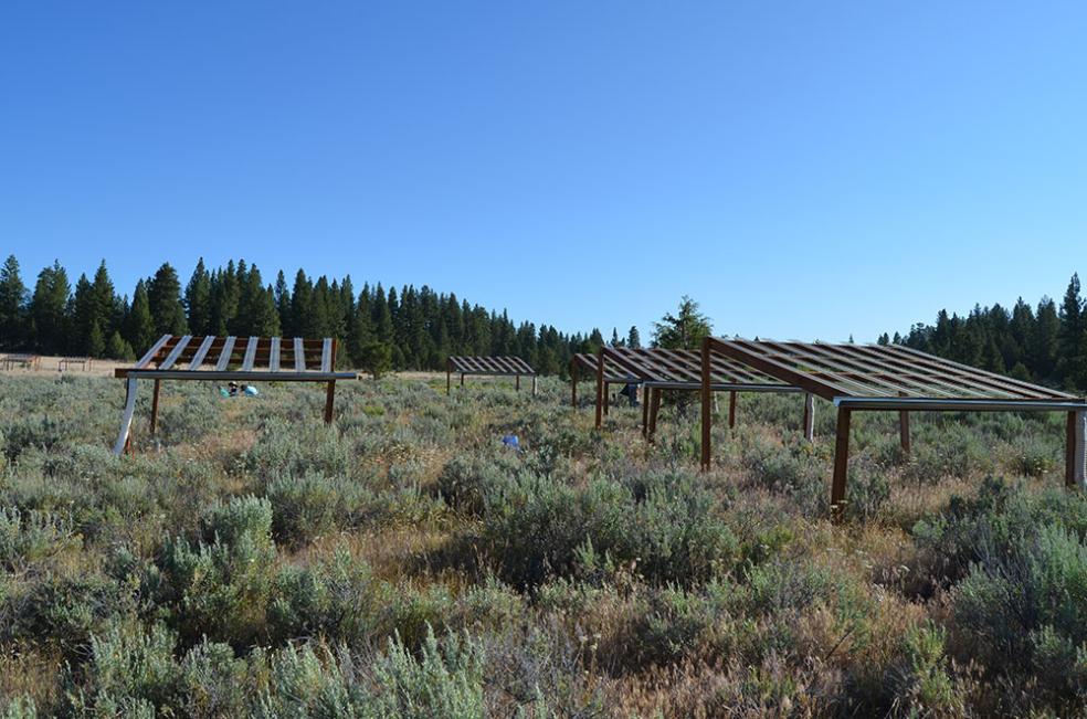 a view of grasslands in southeastern Oregon